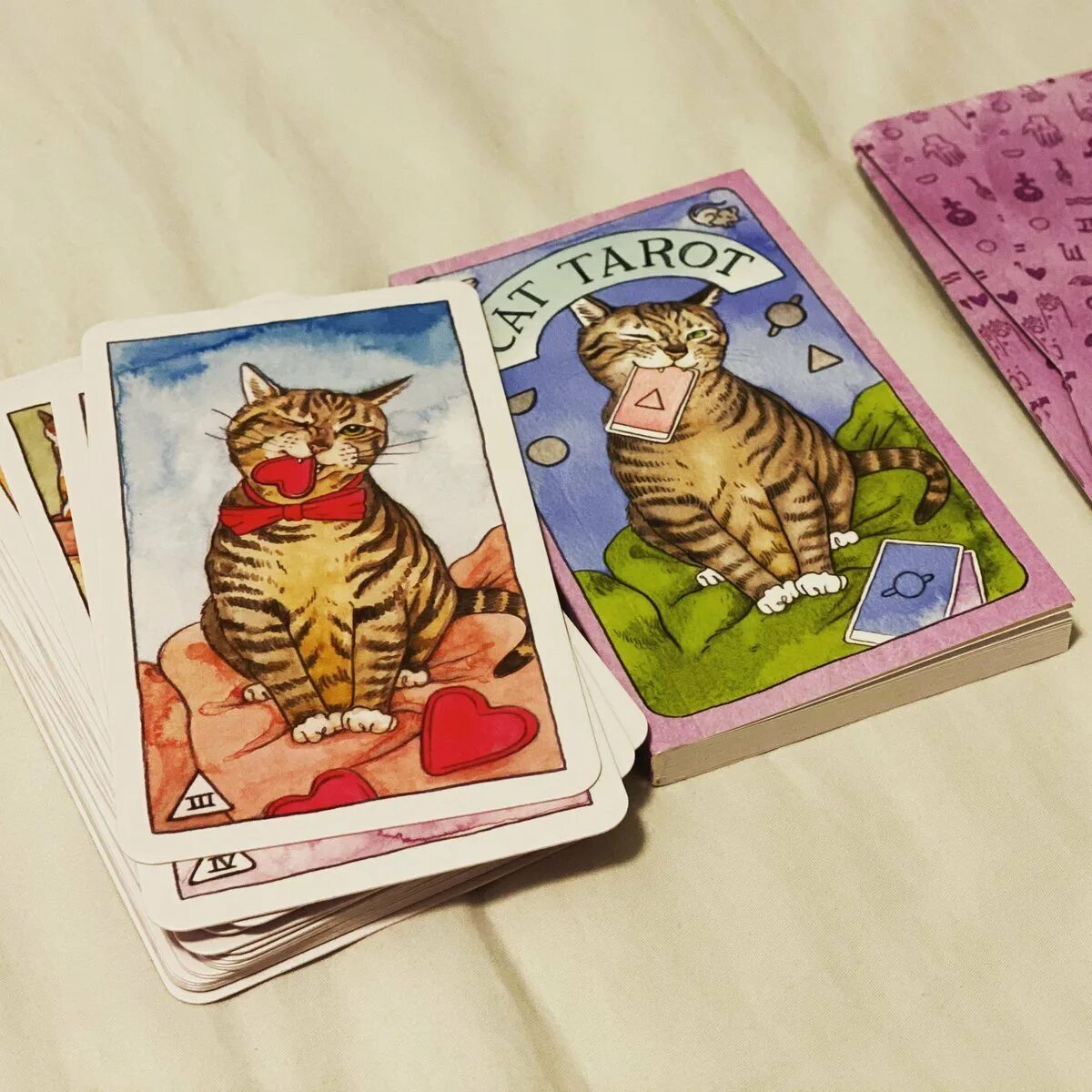 Карты таро кошки значение. Таро cat tarot. cat tarot. таро котиков. cat tarot. таро котиков эксмо. таро котиков галерея cat tarot.