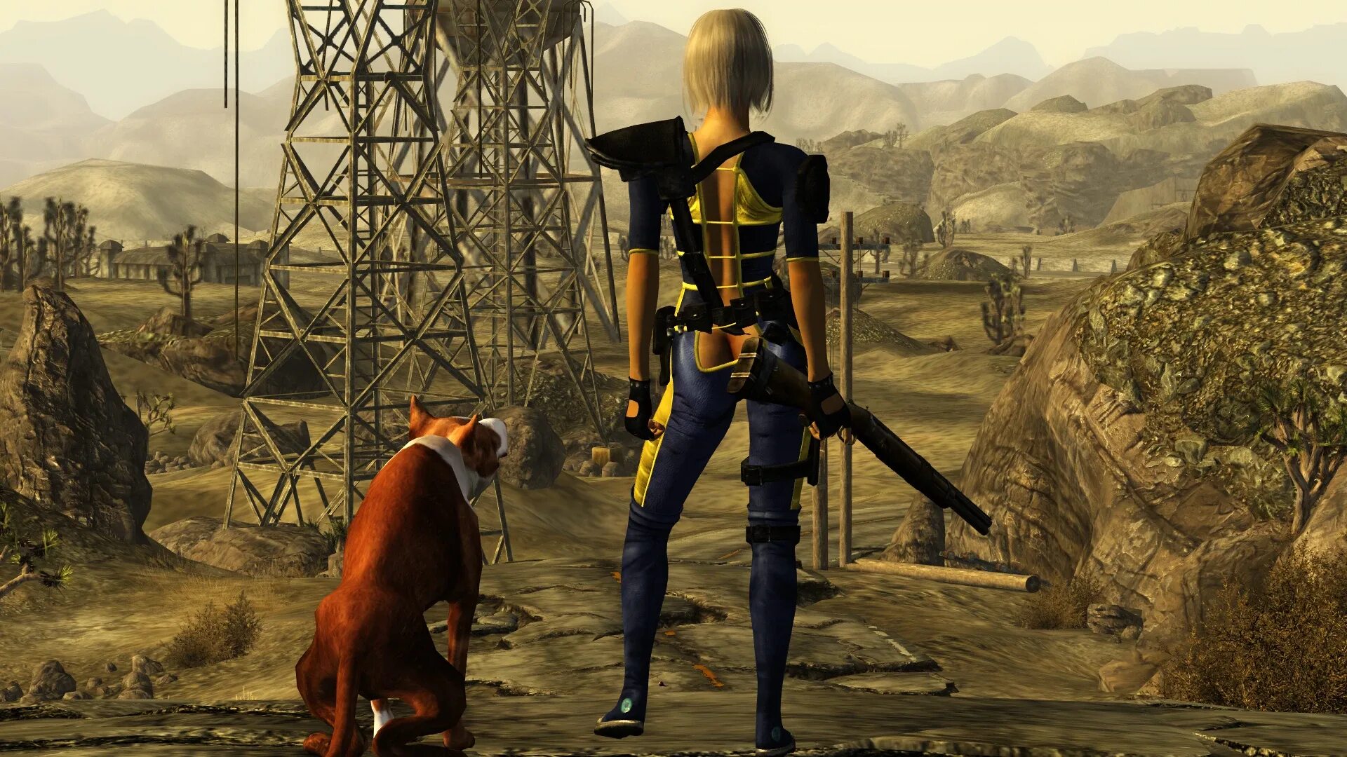 Two wastelands. Fallout Lone Wanderer. Fallout 3 Lone Wanderer girl. Fallout 4 Lone Wanderer.