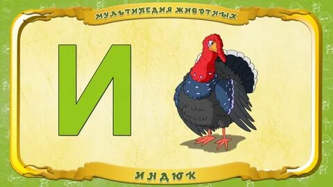 Слово индюк