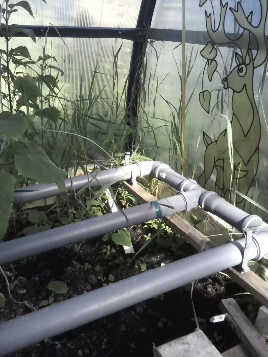 Капельный полив пропиленовые трубы. Капельный полив из полипропиленовых труб в теплице. Капельный полив для малины трубы. Полив из полипропилена своими руками. Полив из полипропилена своими руками.