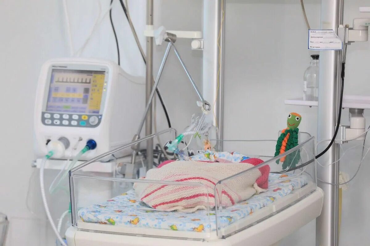 Перинатальный центр краснодар. Неонатолог дзержинск перинатальный центр. Перинатальный центр курган родильное отделение. Перинатальный центр белгород яйцо. Перинатальный центр алмазова спб.