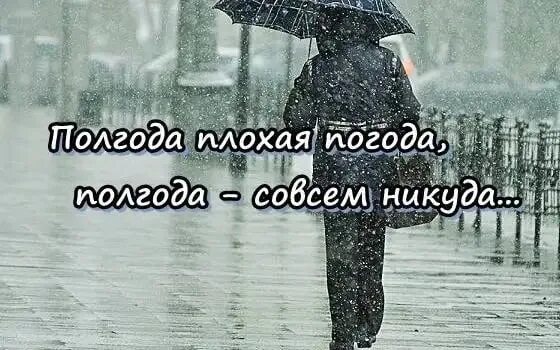 Полгода совсем никуда. Полгода плохая погода. Рол года плохая погода. Непогода нынче в моде. Плохая погода слова.