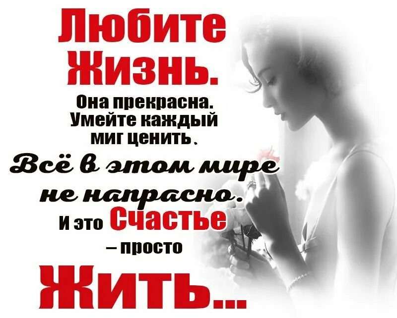 Жить и любить. Однажды рискнув можно остаться счастливым. Любовь в воздухе. Человек познавший ненависть. Педро де телеграфо.