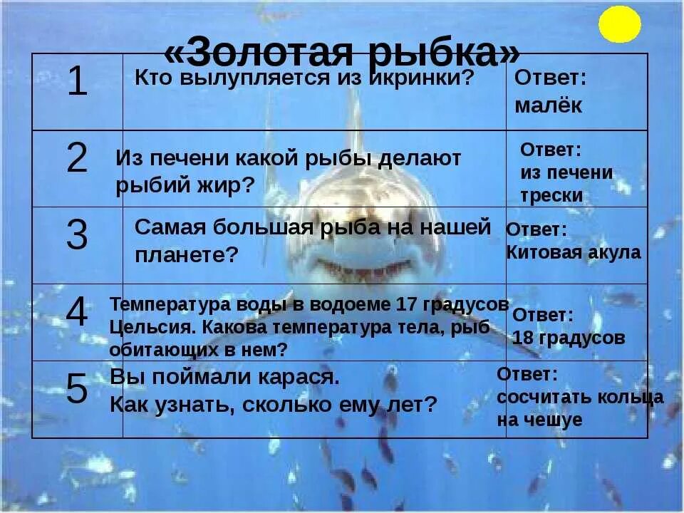 Вопросы по биологии 6 7 класс. Вопросы по эуологии. Занимательные вопросы по биологии. Вопросы по биологии для викторины.