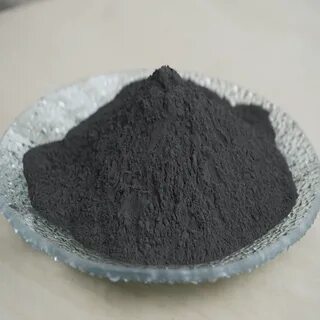 48 19