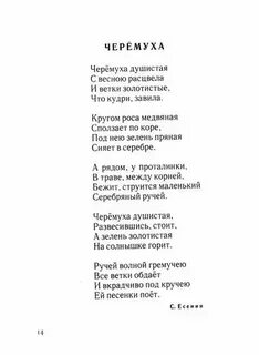 Песня последнее свидание последней весны я плачу
