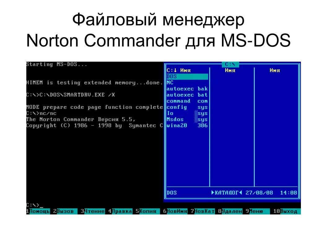МС дос Нортон командер. Поддерживаемая файловая система MS dos. Файловый менеджер Norton Commander. Структура операционной системы MS dos. Norton commander dos