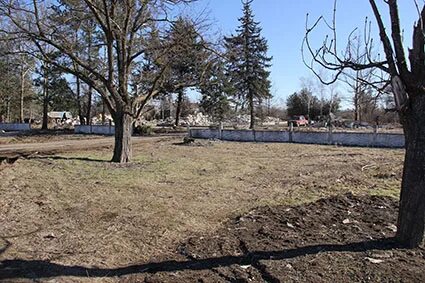 Погода в янтарном красногвардейский