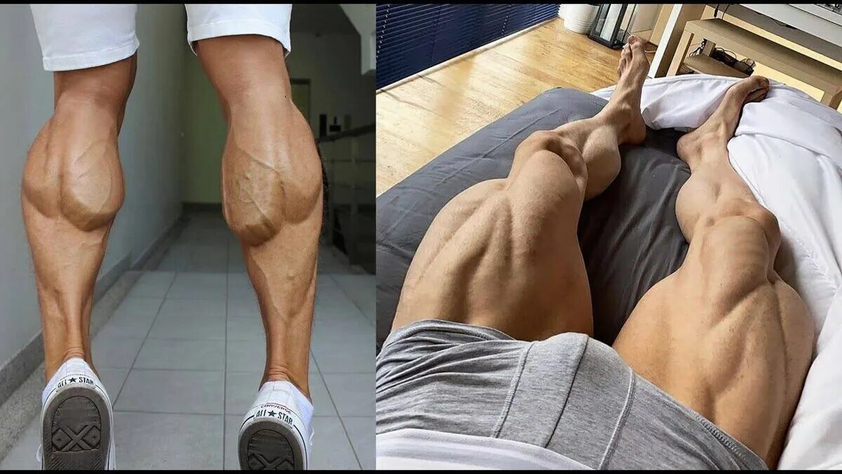Мышцы выпрямляющие ногу