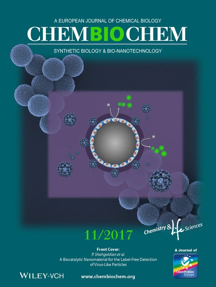 Магистратура биохимия. Биохимия как наука цели и задачи. Совет молодежи ферзиковского района. Магистратура биохимия. Медицинская биохимия картинки.
