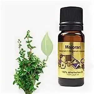 Масло эфирное "майоран". Масло майорана из египта. Масло майорана из египта. Масло египетское organic. Майоран масло.