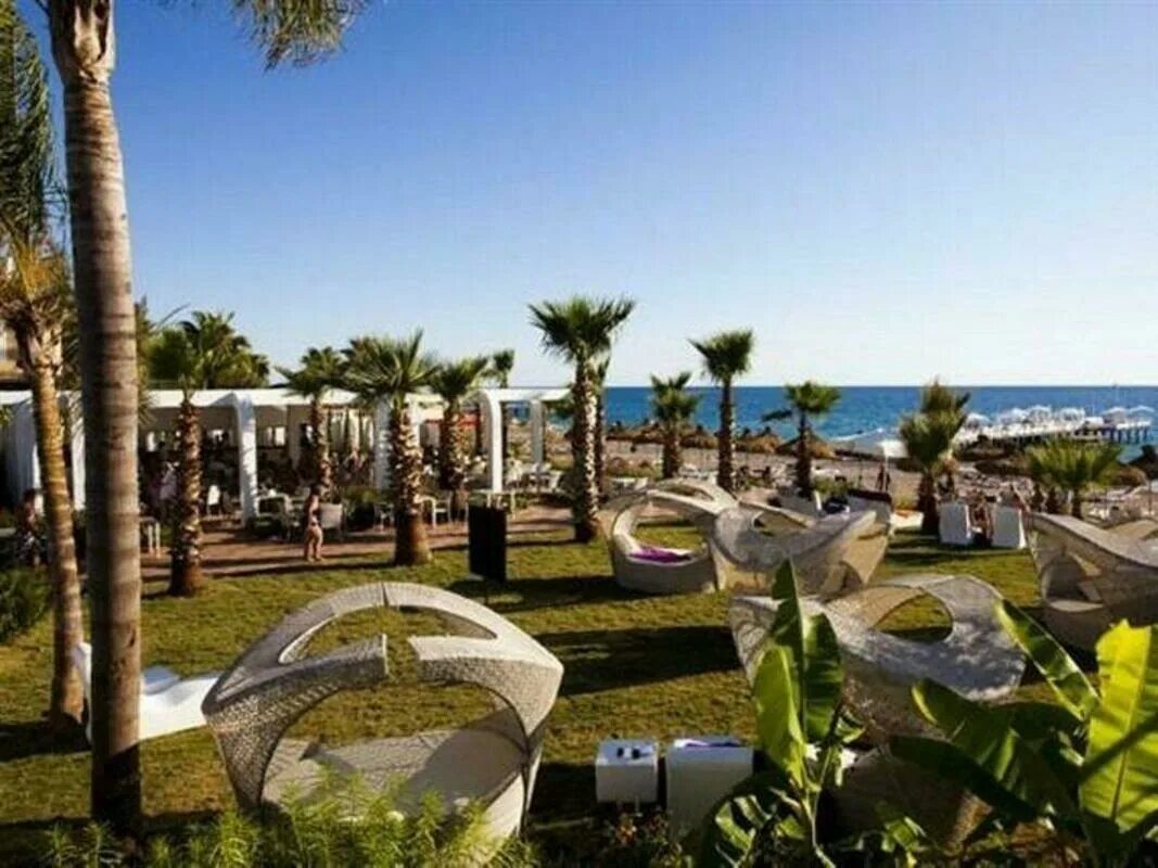 Премиум резорт турция аланья 5. Отель q premium resort. Premium hotels resorts. Premium hotels resorts. Premium hotels resorts.