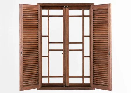 Window door