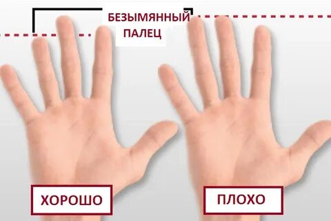 Почему пальцы считают