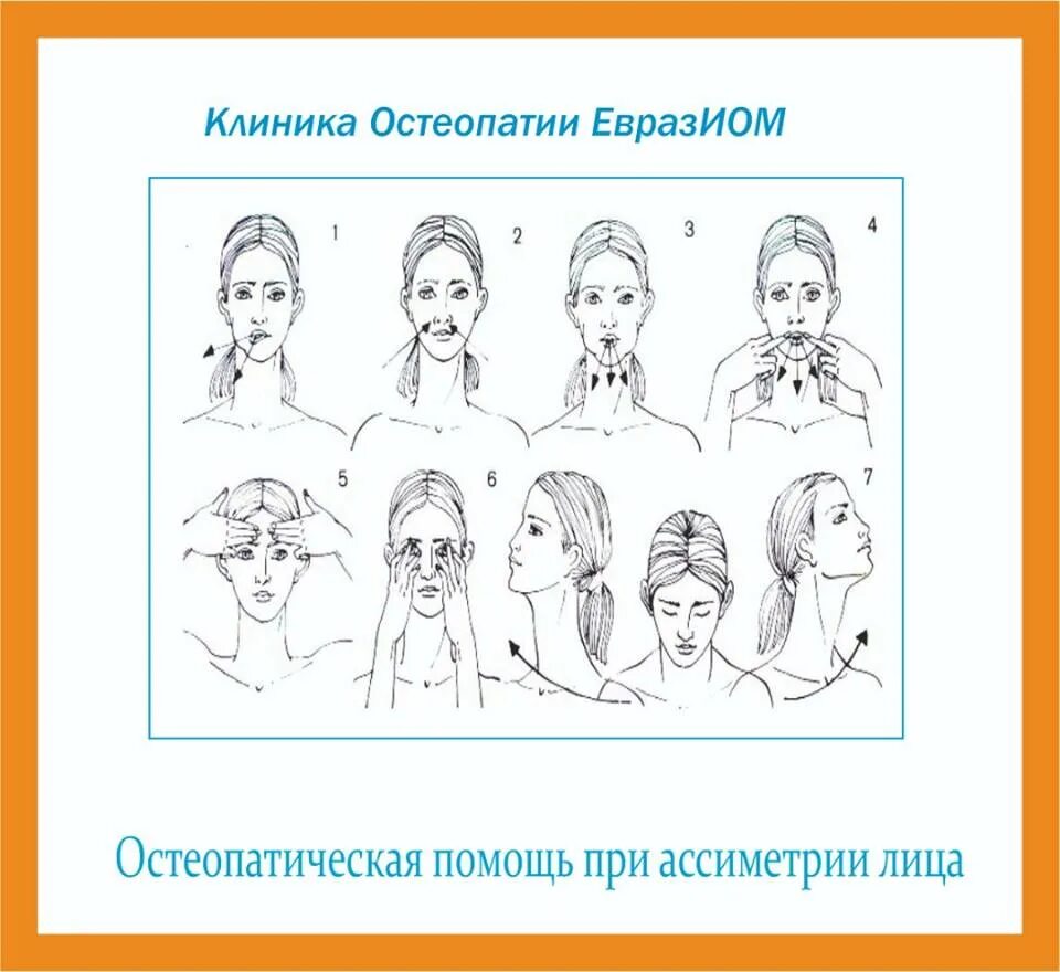 Асимметрия мышечного тонуса. Массаж при асимметрии. Массирует. Массаж при асимметрии. Массаж при асимметрии.