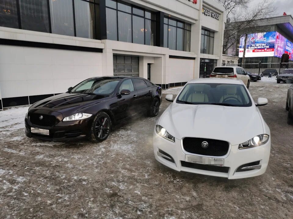 Автомойка ягуар. Двухфазная мойка автомобиля. Ягуар мойка. Ягуар мойка. Ягуар мойка.