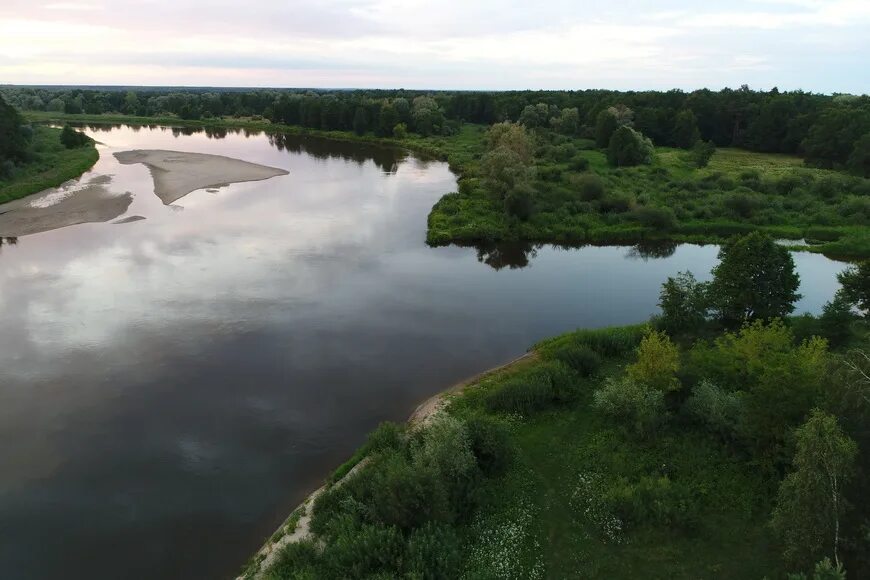Малая воля. Республиканский заказник липичанская пуща. Липичанская пуща. Малая воля. Шаква (река).