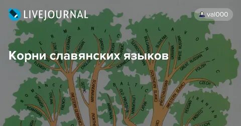 Старославянский корень слова