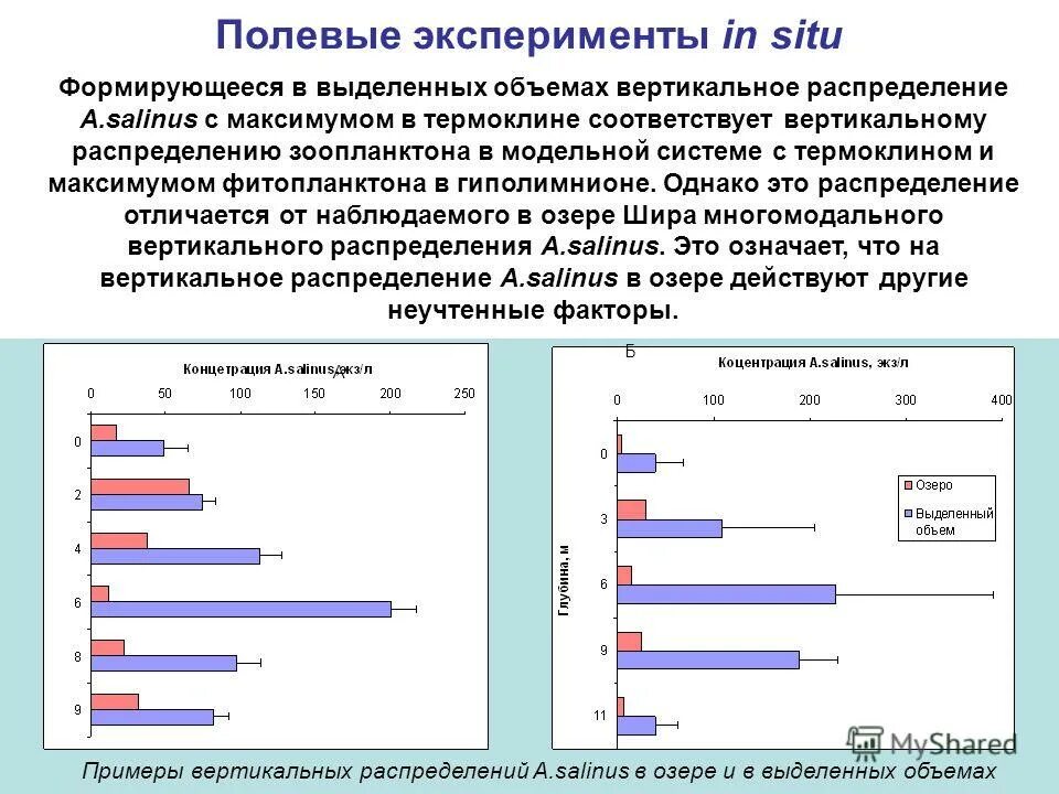 Численность зоопланктона. Вертикальное распределение фитопланктона. Вертикальное распределение доходов. Пример полевого эксперимента. Причины возрастания численности весной зоопланктона.