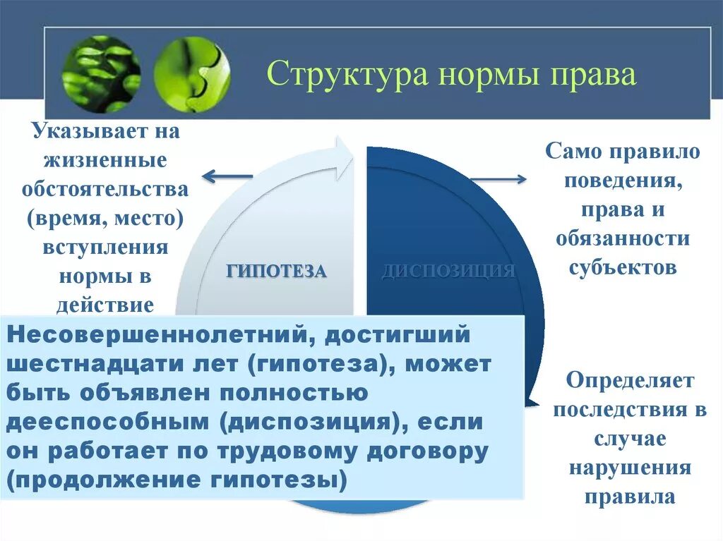 Нормы в составе организации. ) Структура нормы админ право.