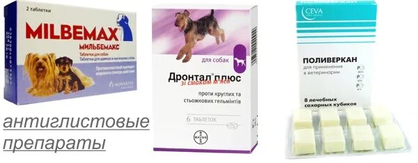 Как часто давать от глистов собаке. Антиглистовые препараты для собак. таблетки от сердечных глистов для собак. таблетки от кашля для собак. препараты от сердечных глистов у собак.