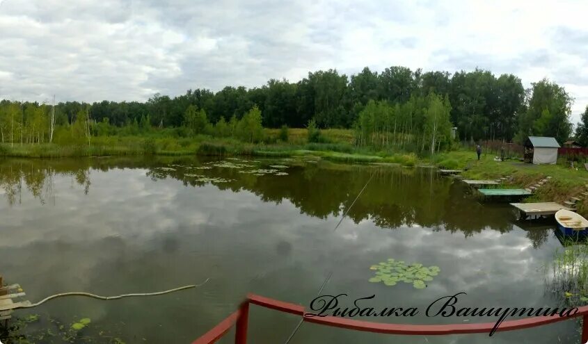 платник вашутино. рыбалка вашутино. платник вашутино. платник вашутино. озеро вашутино ярославская область.