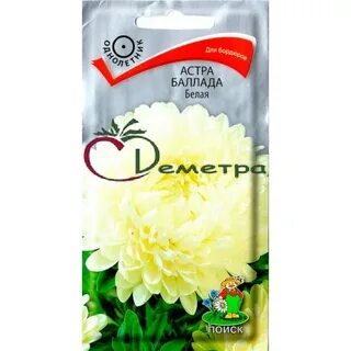 Белая баллада