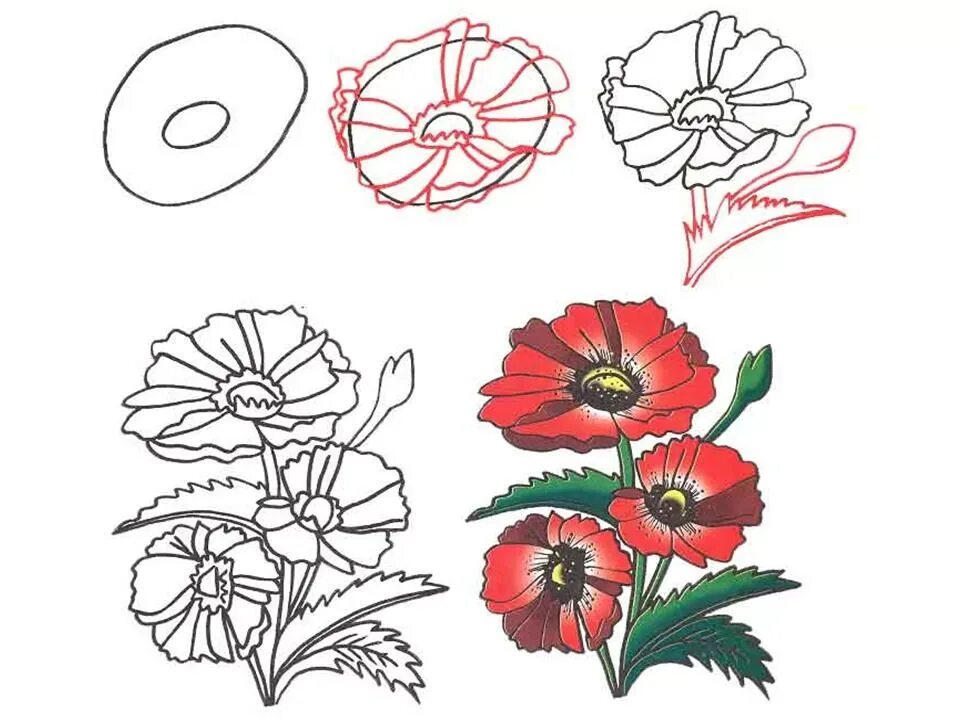 Цветы рисунок. Рисование цветов. Простые цветы для рисования. Поэтапное рисование цветка.