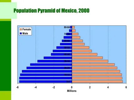 Population pyramid