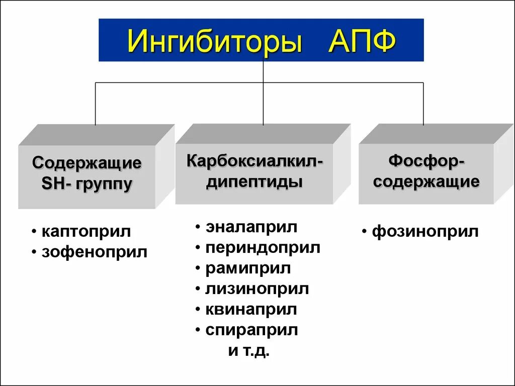 ИАПФ препараты классификация. Ингибиторы АПФ классификация. Липофильные ИАПФ классификация. Группа АПФ препаратов.