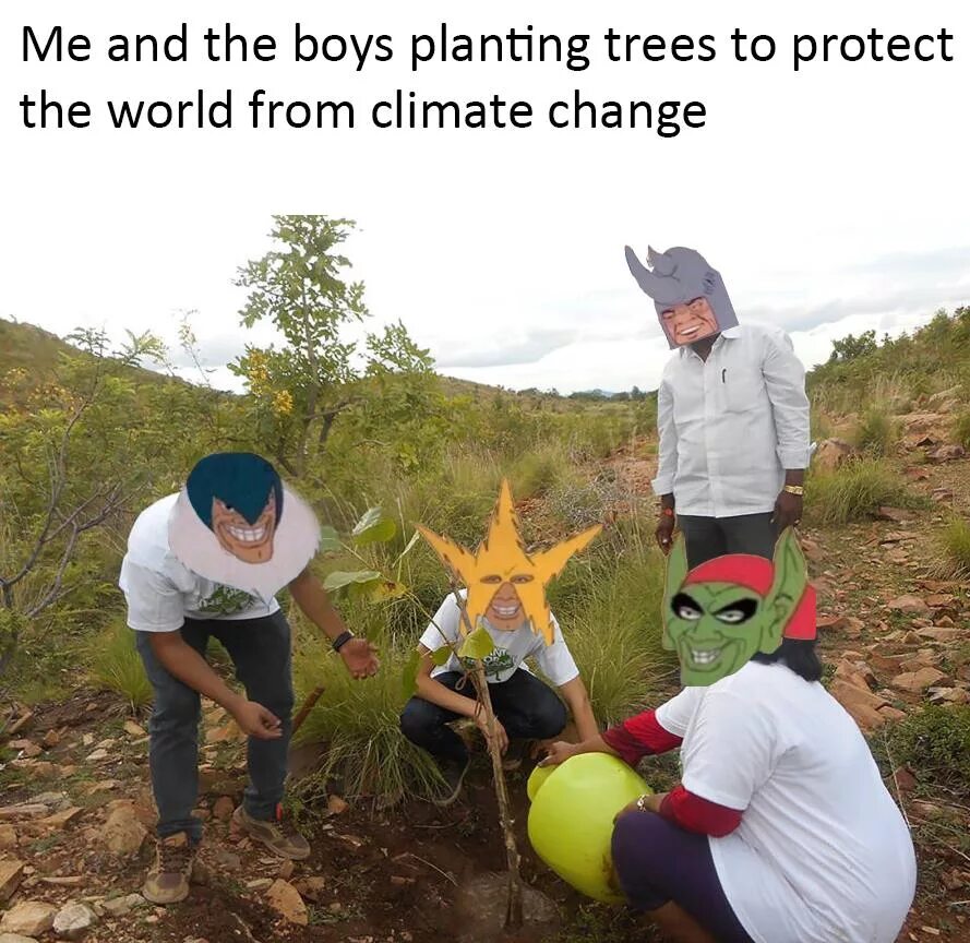 Let it grow meme. Protection meme. Boys plant