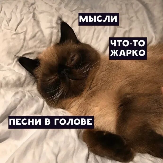 Я И Мои попытки поспать. Я И Мои попытки уснуть. Нормально поспали