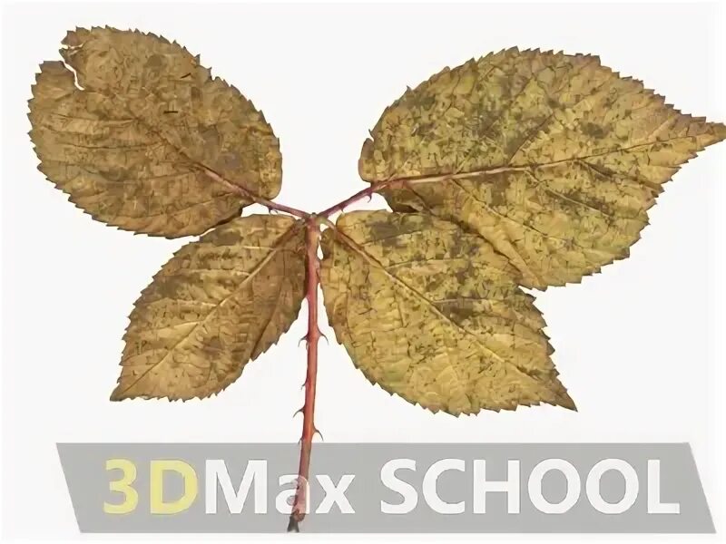 Маджестик королевский синий. 103 листа. Как научиться планировать. 103 листа. 103 листа.