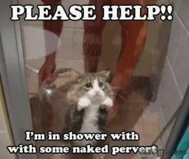 Be pleased to help you