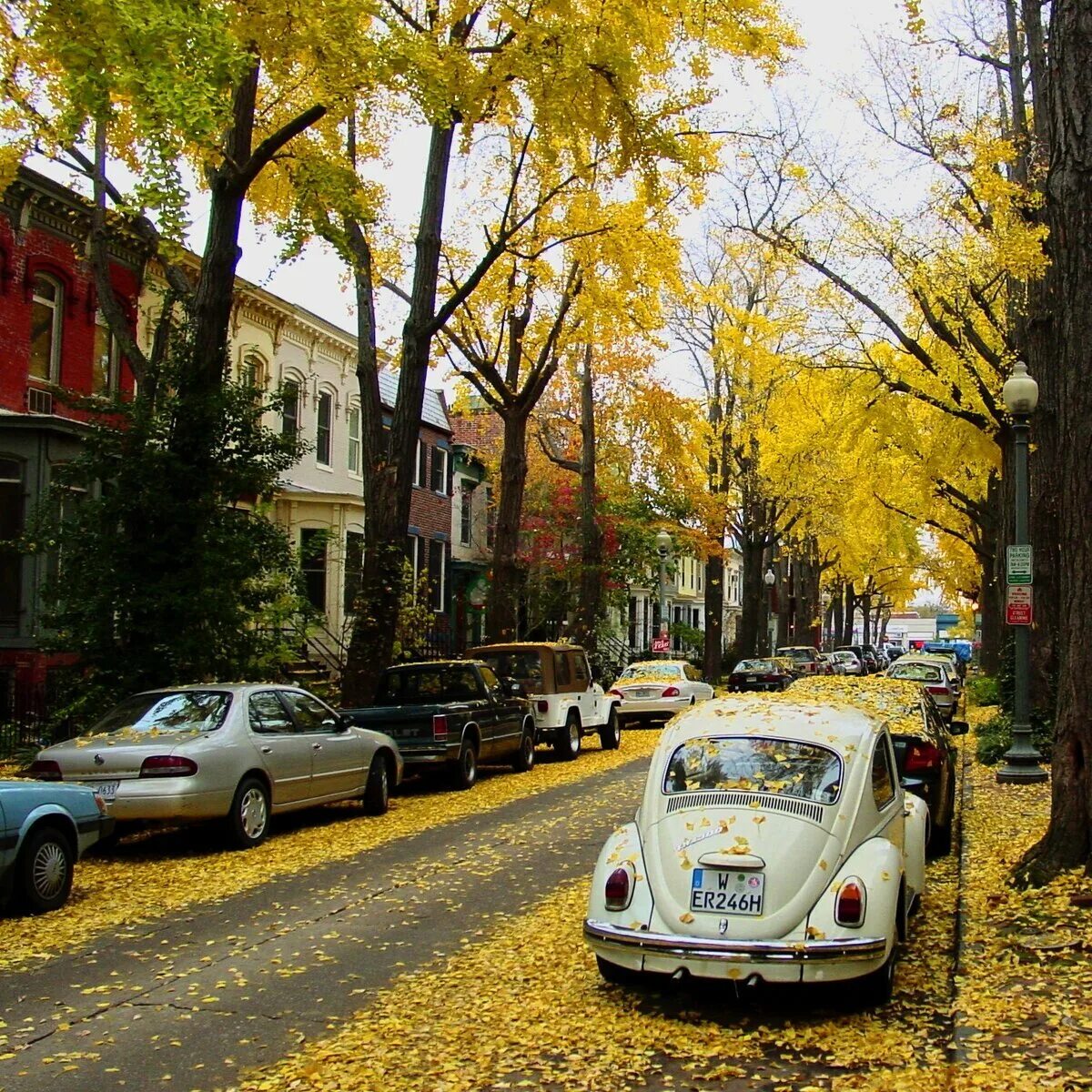 Улица золотистая. Осень в городе. Машина на улице. Машины в городе. Машины на улицах города.