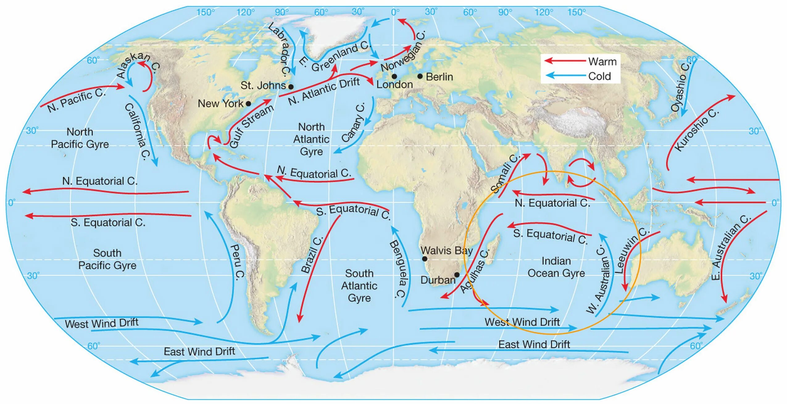 Северное пассатное течение на карте Атлантического океана. Карта течений мирового океана. Схема течений мирового океана. Тёплые и холодные течения на карте мирового океана.