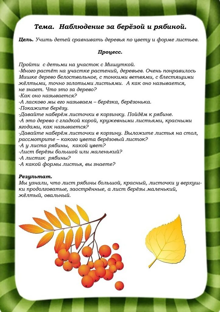 Картотека наблюдений за объектами природы. Наблюдение осенью в средней группе. Картотека наблюдений для детей дошкольного возраста. Наблюдение в ДОУ осень деревья. Наблюдение живая природа младшая