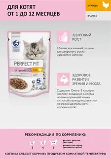 Корм перфект фит для котят