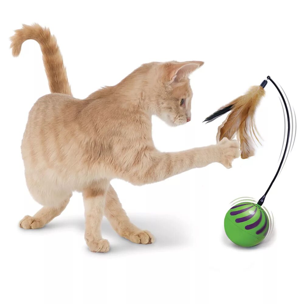 Игрушка для кошки. Интерактивная игрушка кошка. Игрушка «котенок». Полезные игрушки для кошек.