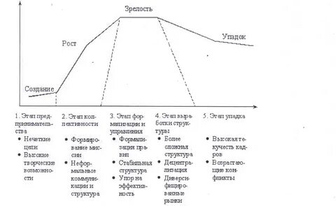 Рост и зрелость