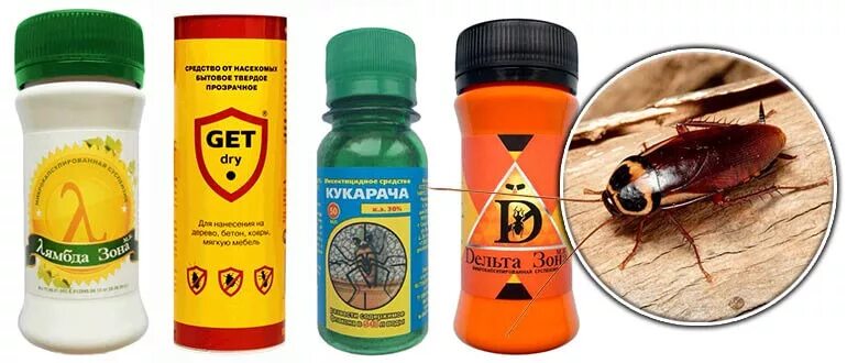 Отравление от тараканов симптомы. Средство от тараканов. яд для тараканов. средство от тараканов самое эффективное. отрава для тараканов эффективная.