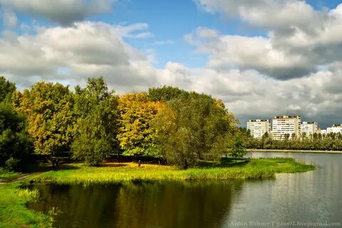 Головинский фото