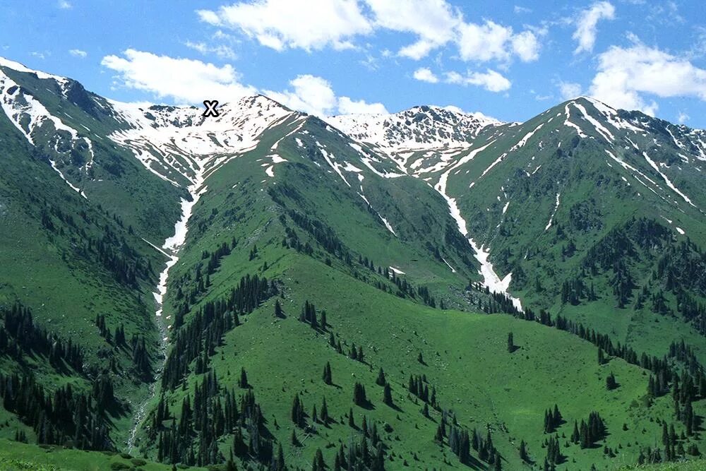 Жазық панорама. Туризм дегеніміз не. Майдантал ташкентская область. Катон-карагайский национальный парк. Солнечная электростанция казахстан.