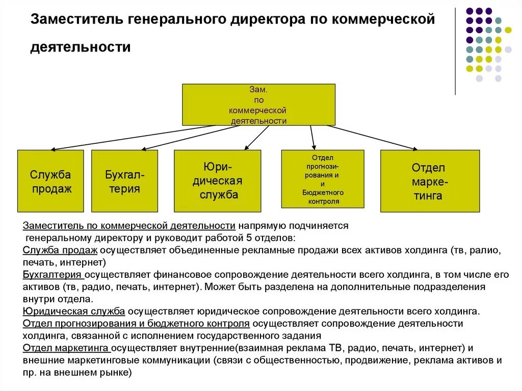 Учредитель работает в организации. Должность заместитель директора. Функционал коммерческого директора. Заместитель коммерческого директора. Должности в коммерческом отделе организации.