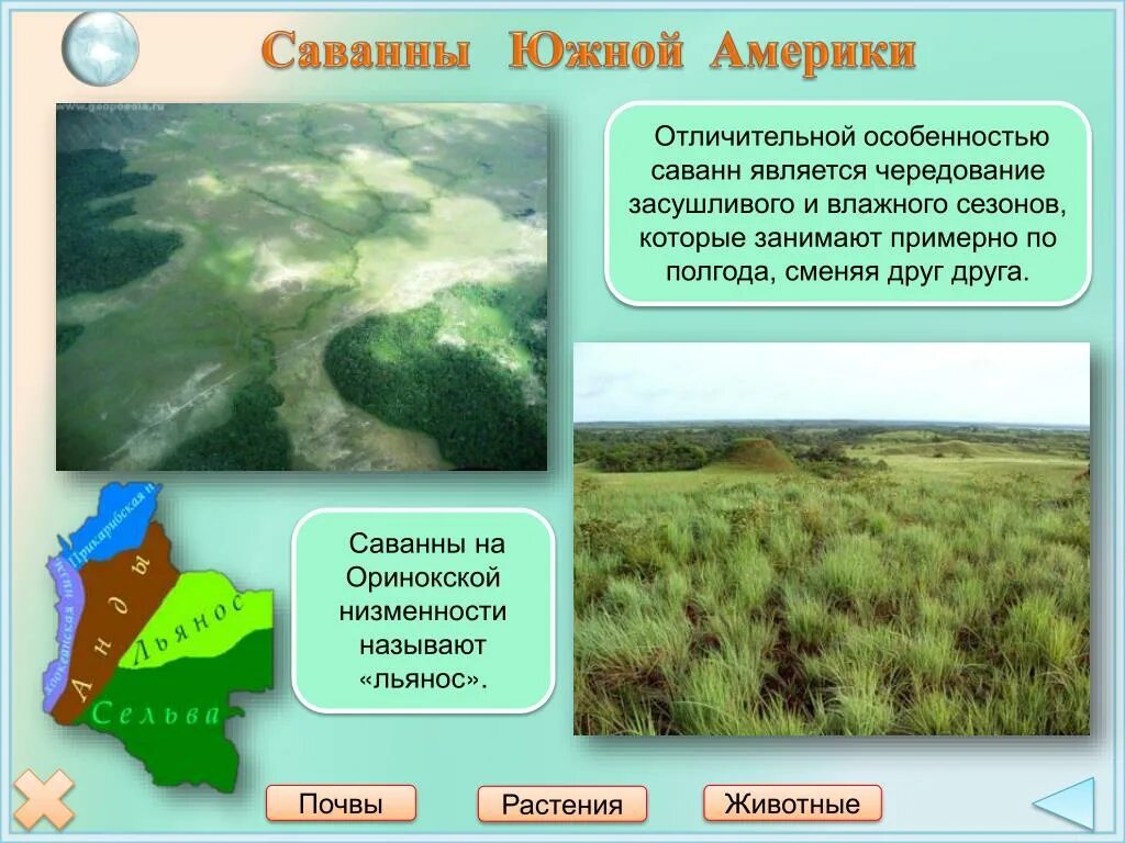 Описание саванны южной америки. Сообщение саванн и редколесий. Описание саванны южной америки. Саванна льянос в южной америке. Особенности климата саванны.