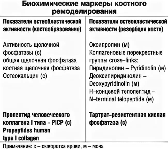 Маркер костной резорбции. Биохимические маркеры ремоделирования остеопороза. К биохимическим маркерам костной резорбции. Маркеры резорбции костной ткани. Биохимические маркеры костного ремоделирования костной.