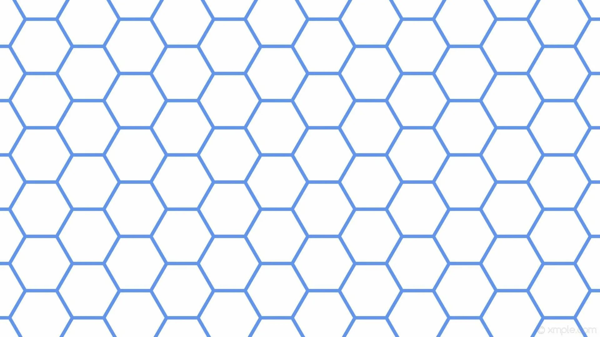 Сотах бой. Сетка "соты" белая (54см*6ярд). Гексагон соты. Шестиугольник Гексагон. Hexagon сетка.
