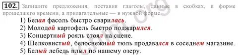 Русский язык 6 класс страница 102 номер