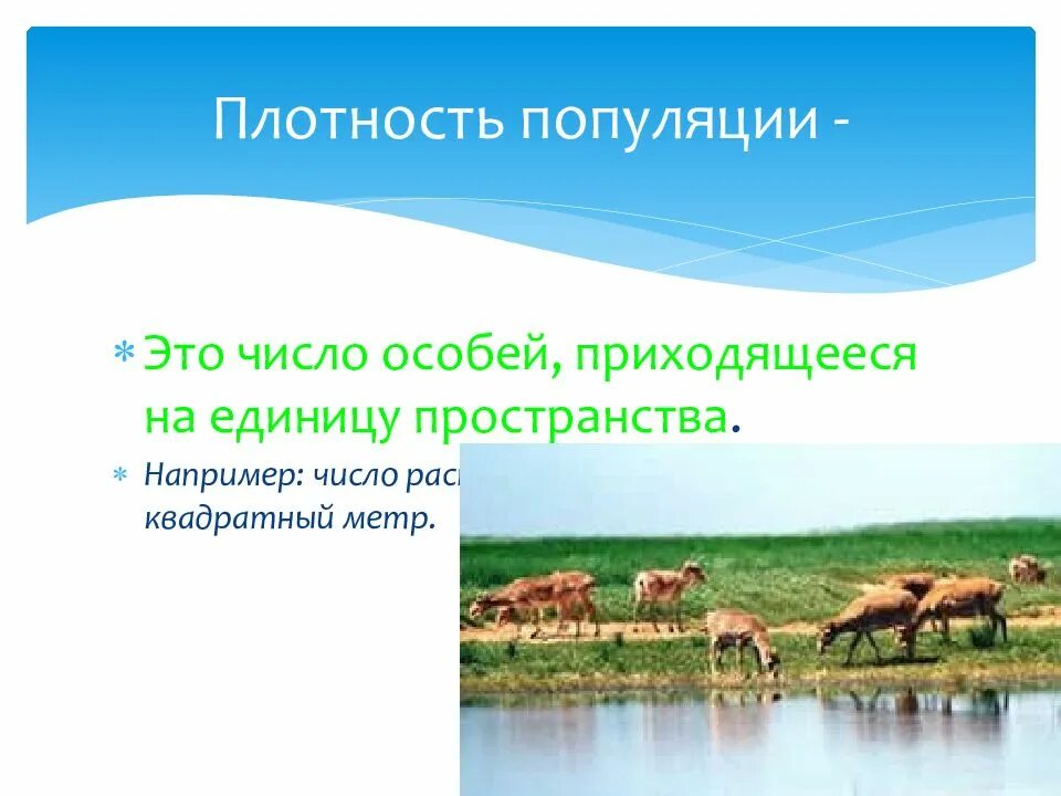 Растения число особей