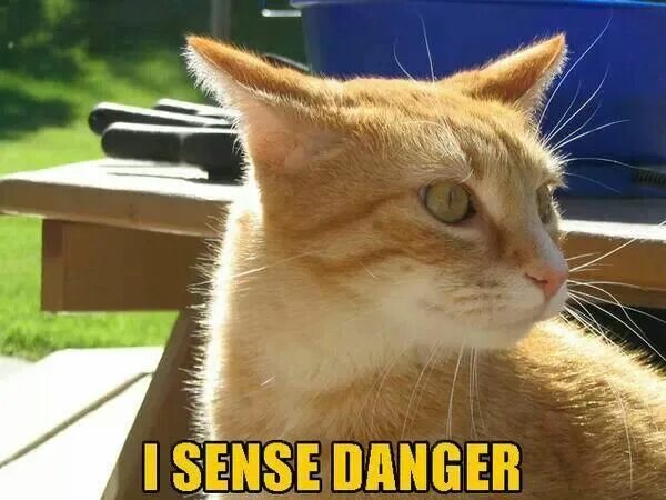 I sense that. Danger sense.